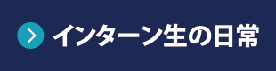 インターン生の日常