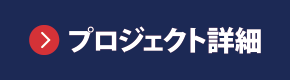 プロジェクト詳細